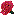 rose.gif (963 bytes)